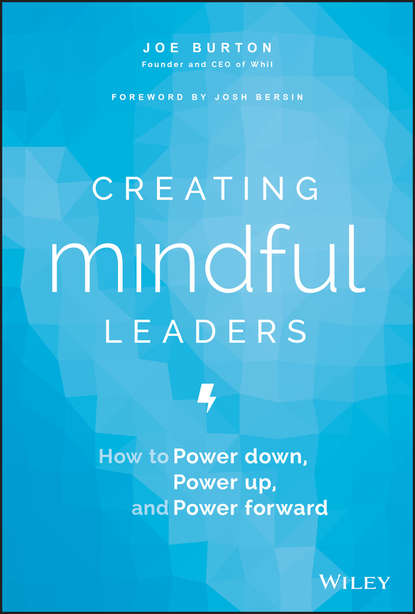 Скачать книгу Creating Mindful Leaders