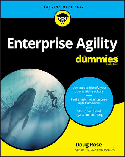 Скачать книгу Enterprise Agility For Dummies