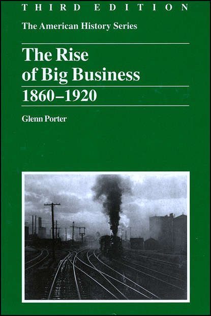 Скачать книгу The Rise of Big Business