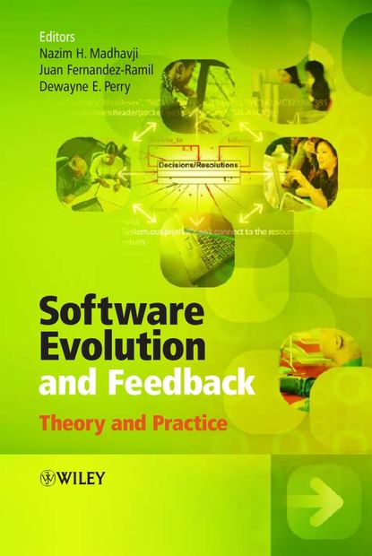 Скачать книгу Software Evolution and Feedback