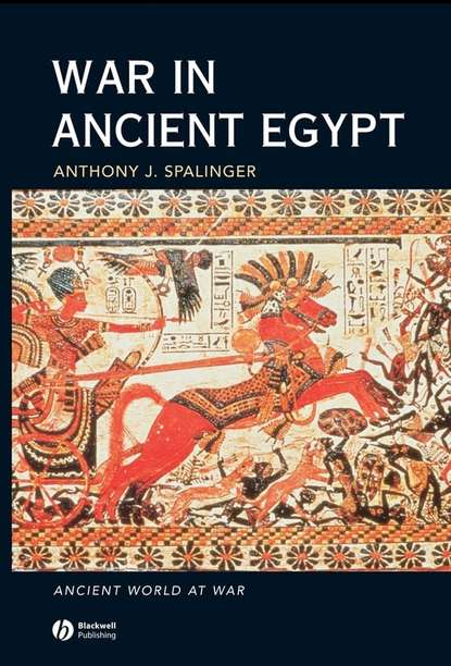 Скачать книгу War in Ancient Egypt