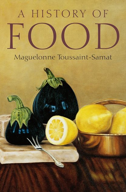 Скачать книгу A History of Food