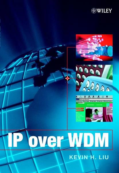 Скачать книгу IP over WDM