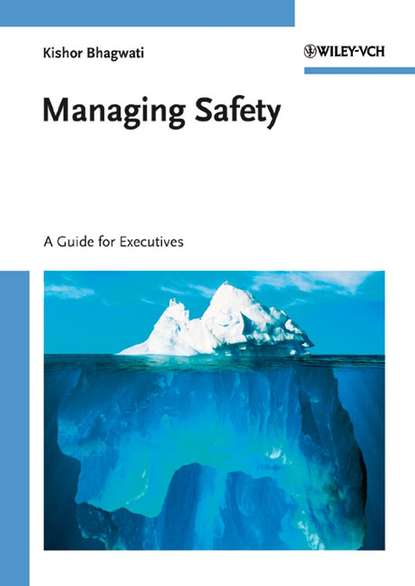 Скачать книгу Managing Safety