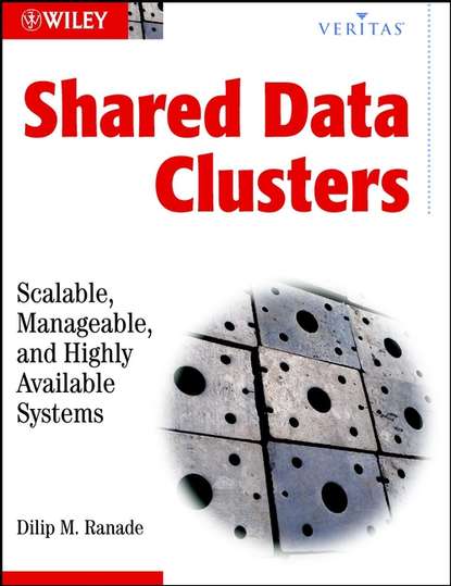 Скачать книгу Shared Data Clusters