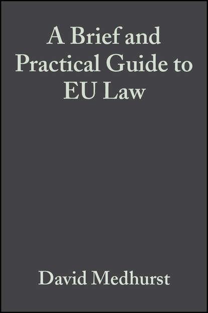 Скачать книгу A Brief and Practical Guide to EU Law