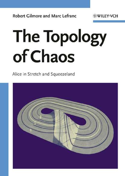 Скачать книгу The Topology of Chaos