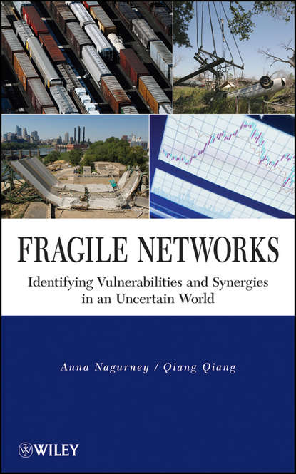 Скачать книгу Fragile Networks