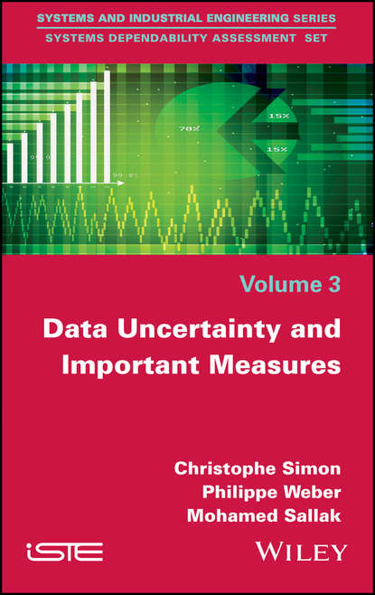 Скачать книгу Data Uncertainty and Important Measures
