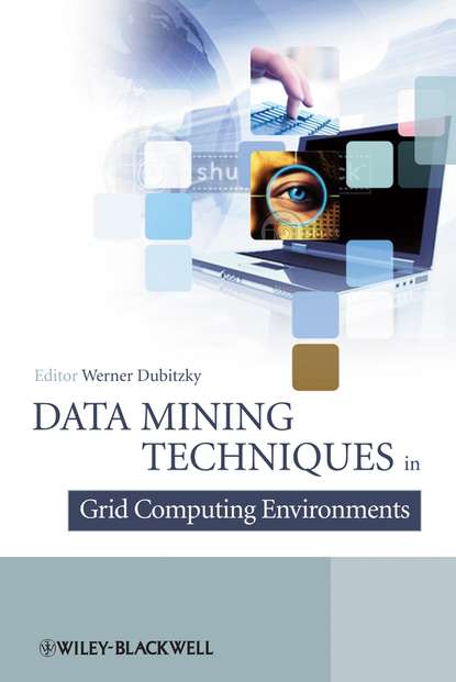 Скачать книгу Data Mining Techniques in Grid Computing Environments