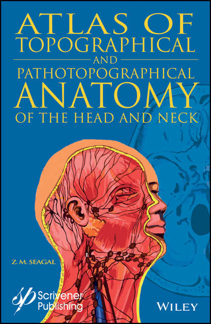 Скачать книгу Atlas of Topographical and Pathotopographical Anatomy of the Head and Neck