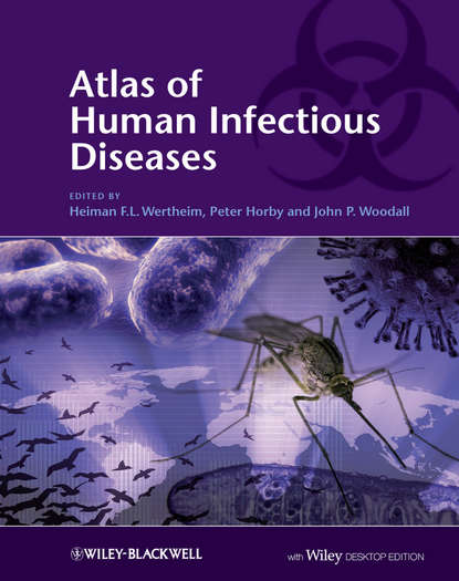 Скачать книгу Atlas of Human Infectious Diseases
