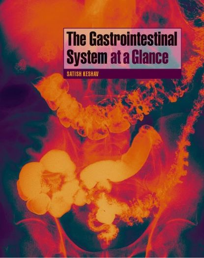 Скачать книгу The Gastrointestinal System at a Glance