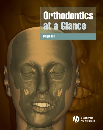 Скачать книгу Orthodontics at a Glance