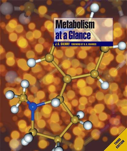 Скачать книгу Metabolism at a Glance