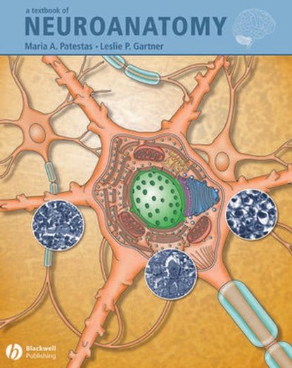 Скачать книгу A Textbook of Neuroanatomy