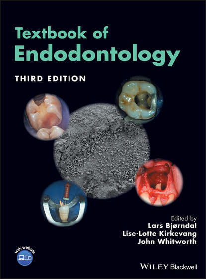 Скачать книгу Textbook of Endodontology