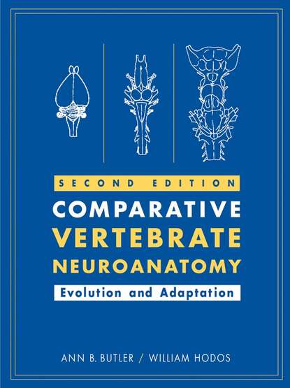 Скачать книгу Comparative Vertebrate Neuroanatomy