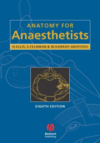 Скачать книгу Anatomy for Anaesthetists