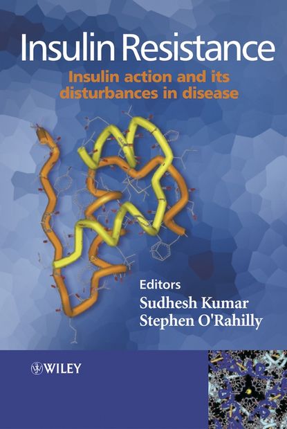 Скачать книгу Insulin Resistance
