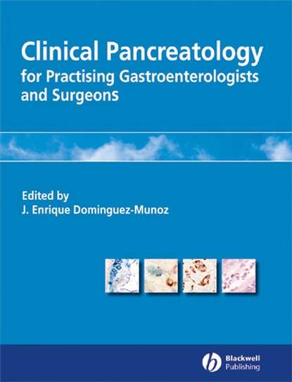 Скачать книгу Clinical Pancreatology