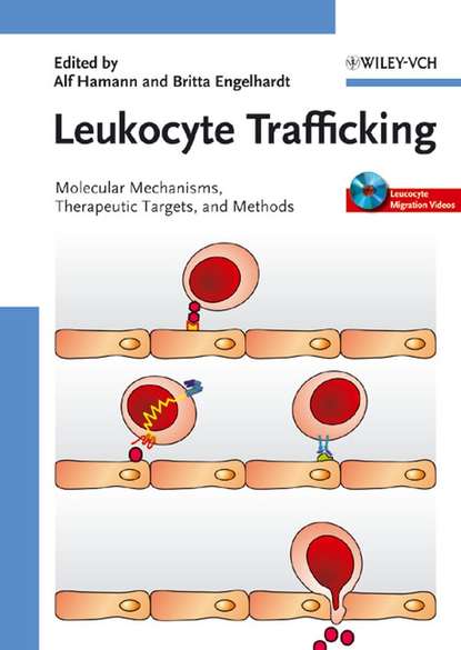 Скачать книгу Leukocyte Trafficking