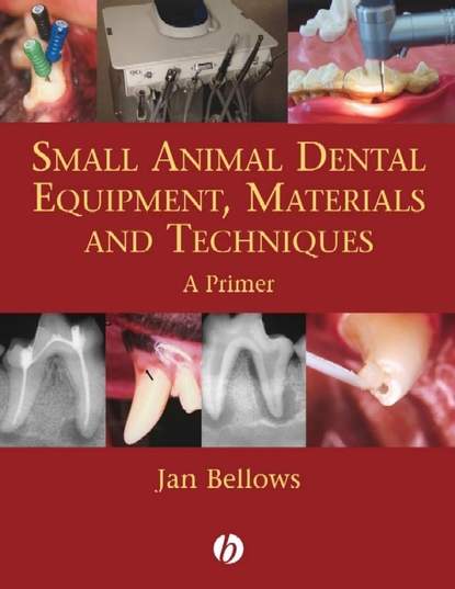 Скачать книгу Small Animal Dental Equipment, Materials and Techniques