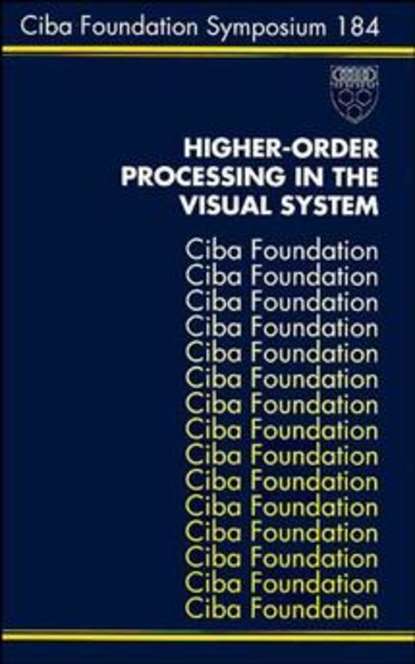 Скачать книгу Higher-Order Processing in the Visual System