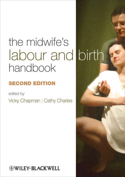 Скачать книгу The Midwife's Labour and Birth Handbook