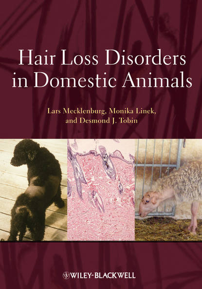 Скачать книгу Hair Loss Disorders in Domestic Animals