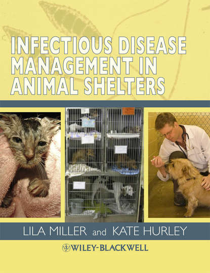 Скачать книгу Infectious Disease Management in Animal Shelters