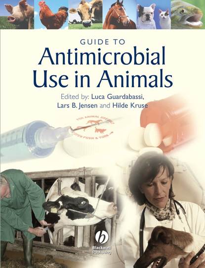 Скачать книгу Guide to Antimicrobial Use in Animals
