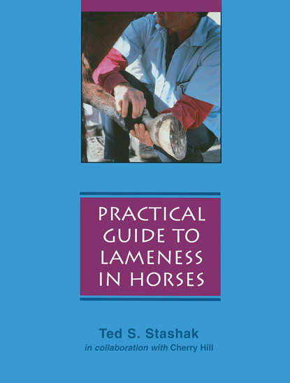 Скачать книгу Practical Guide to Lameness in Horses