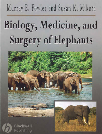Скачать книгу Biology, Medicine, and Surgery of Elephants