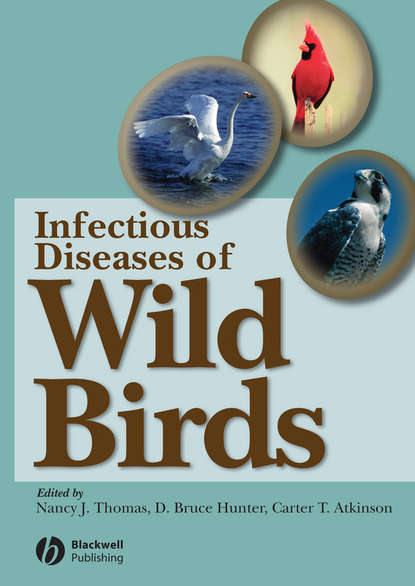 Скачать книгу Infectious Diseases of Wild Birds