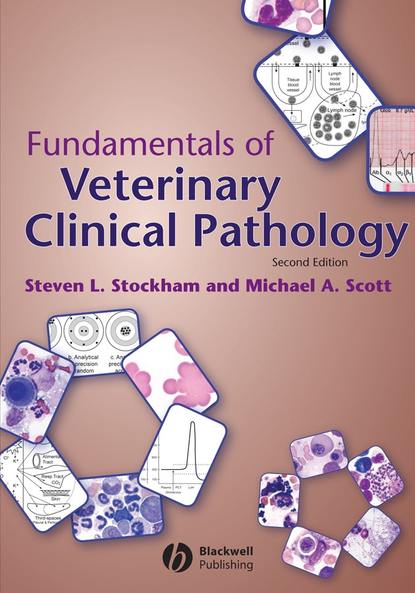 Скачать книгу Fundamentals of Veterinary Clinical Pathology