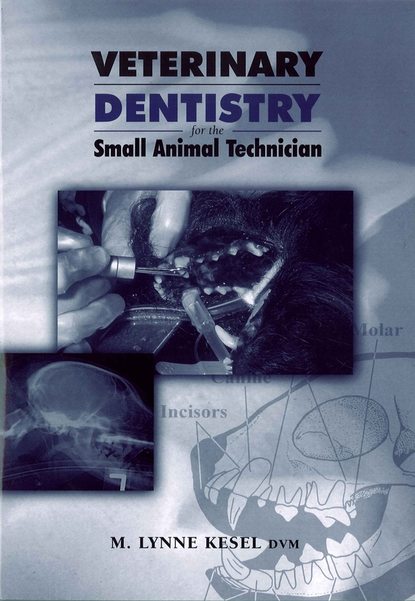 Скачать книгу Veterinary Dentistry for the Small Animal Technician