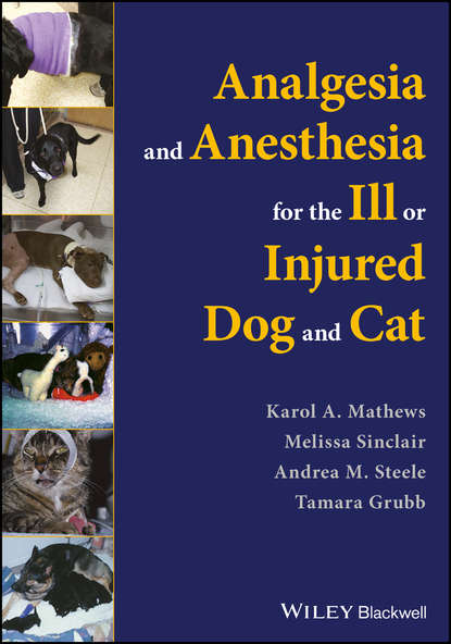 Скачать книгу Analgesia and Anesthesia for the Ill or Injured Dog and Cat
