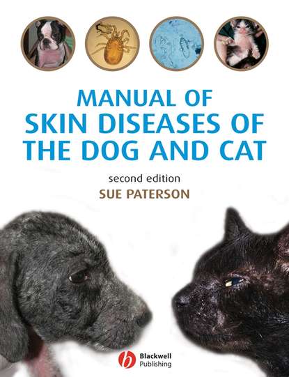 Скачать книгу Manual of Skin Diseases of the Dog and Cat