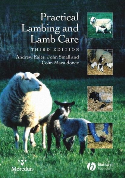 Скачать книгу Practical Lambing and Lamb Care