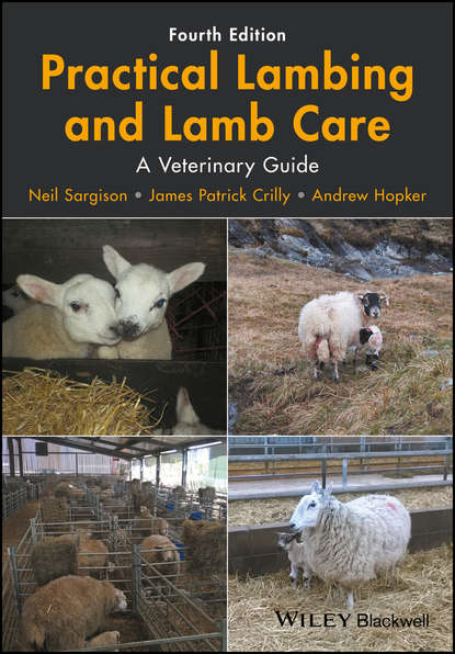 Скачать книгу Practical Lambing and Lamb Care