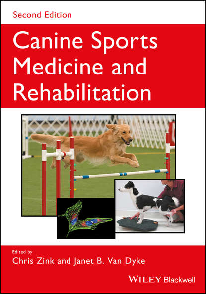 Скачать книгу Canine Sports Medicine and Rehabilitation
