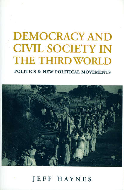 Скачать книгу Democracy and Civil Society in the Third World