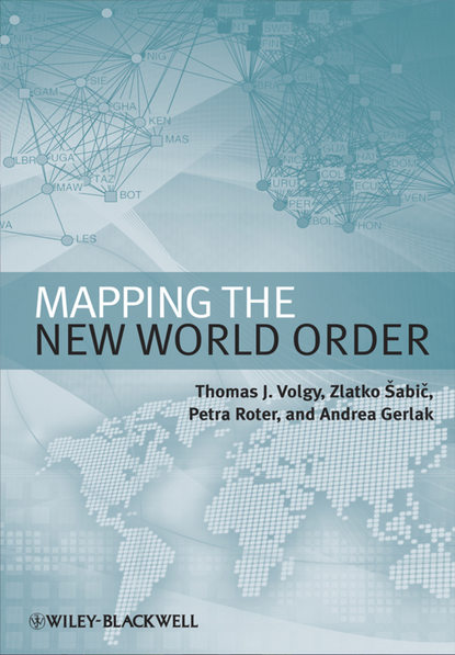 Скачать книгу Mapping the New World Order