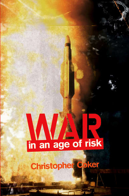 Скачать книгу War in an Age of Risk