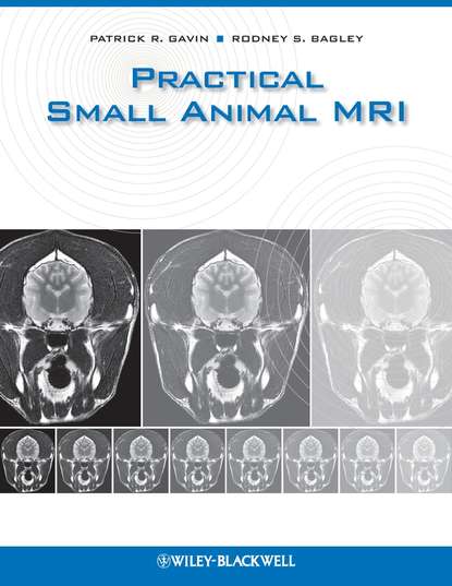 Скачать книгу Practical Small Animal MRI