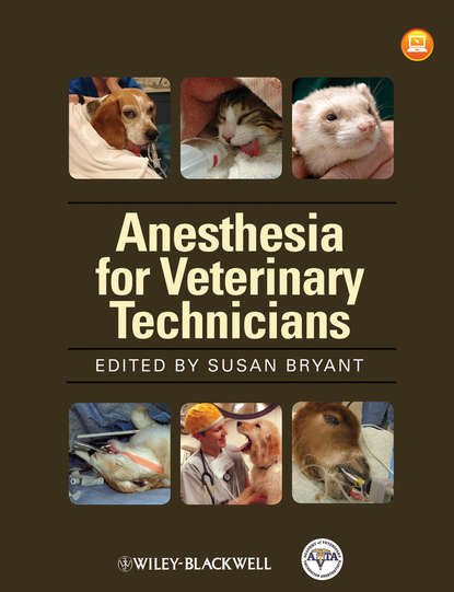 Скачать книгу Anesthesia for Veterinary Technicians