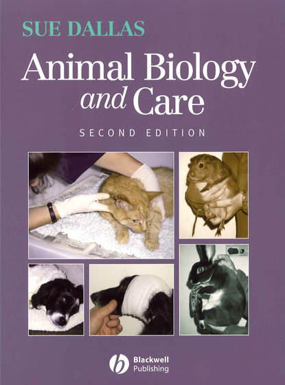 Скачать книгу Animal Biology and Care