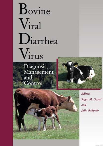 Скачать книгу Bovine Viral Diarrhea Virus