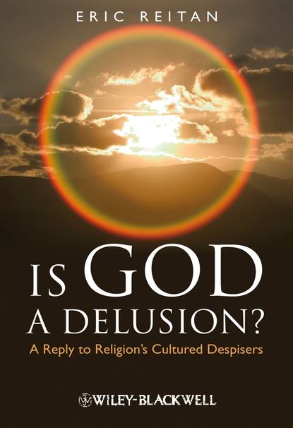 Скачать книгу Is God A Delusion?